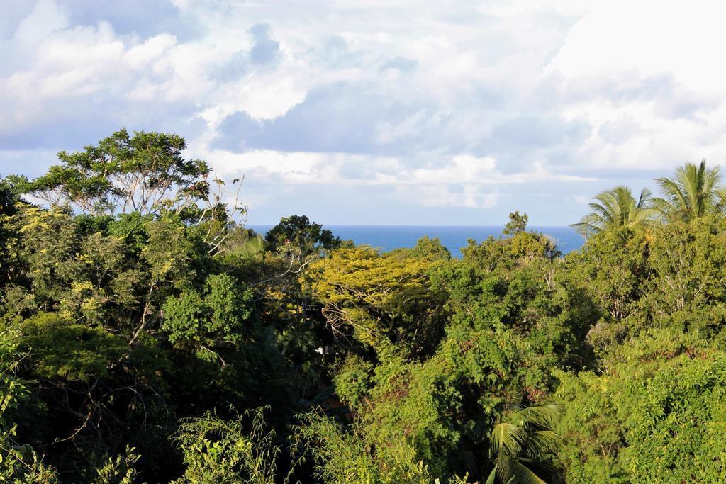 Novos Baianos Hostel E Pousada Porto Seguro Exteriör bild View of the rainforest from the summit of Mount Banda Banda